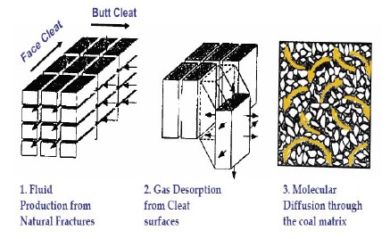 Coal Bed Methane